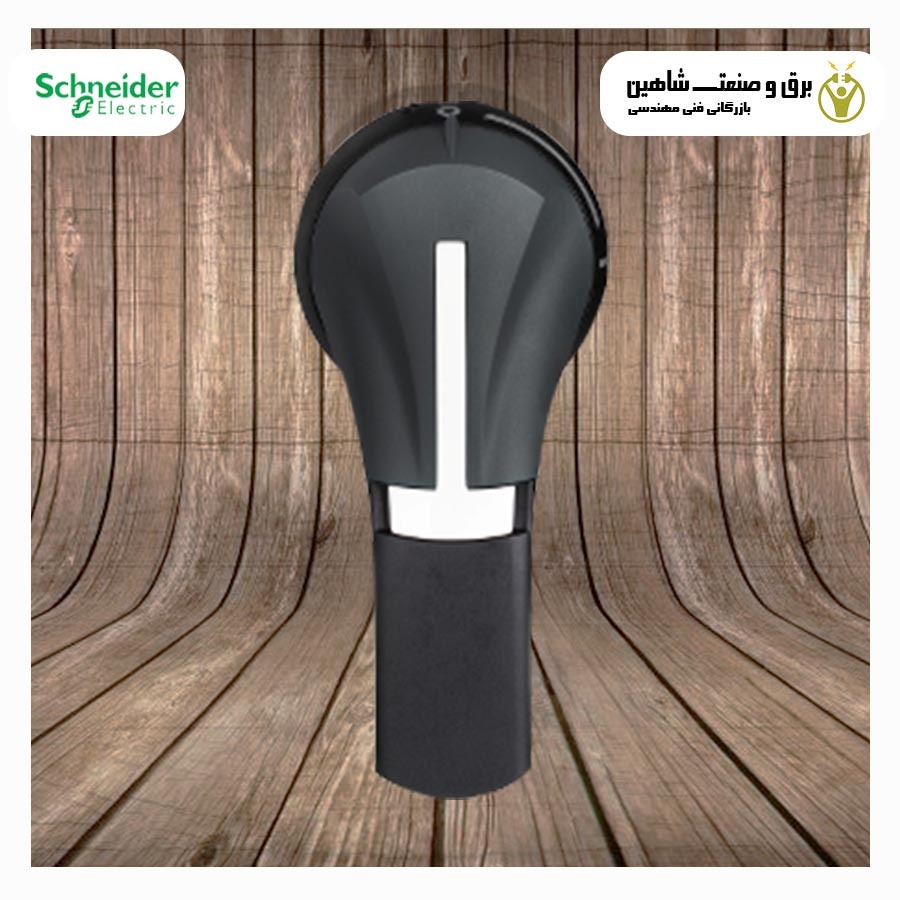 دسته چرخشی خارجی schneider مدل GS2AH535 اشنایدر