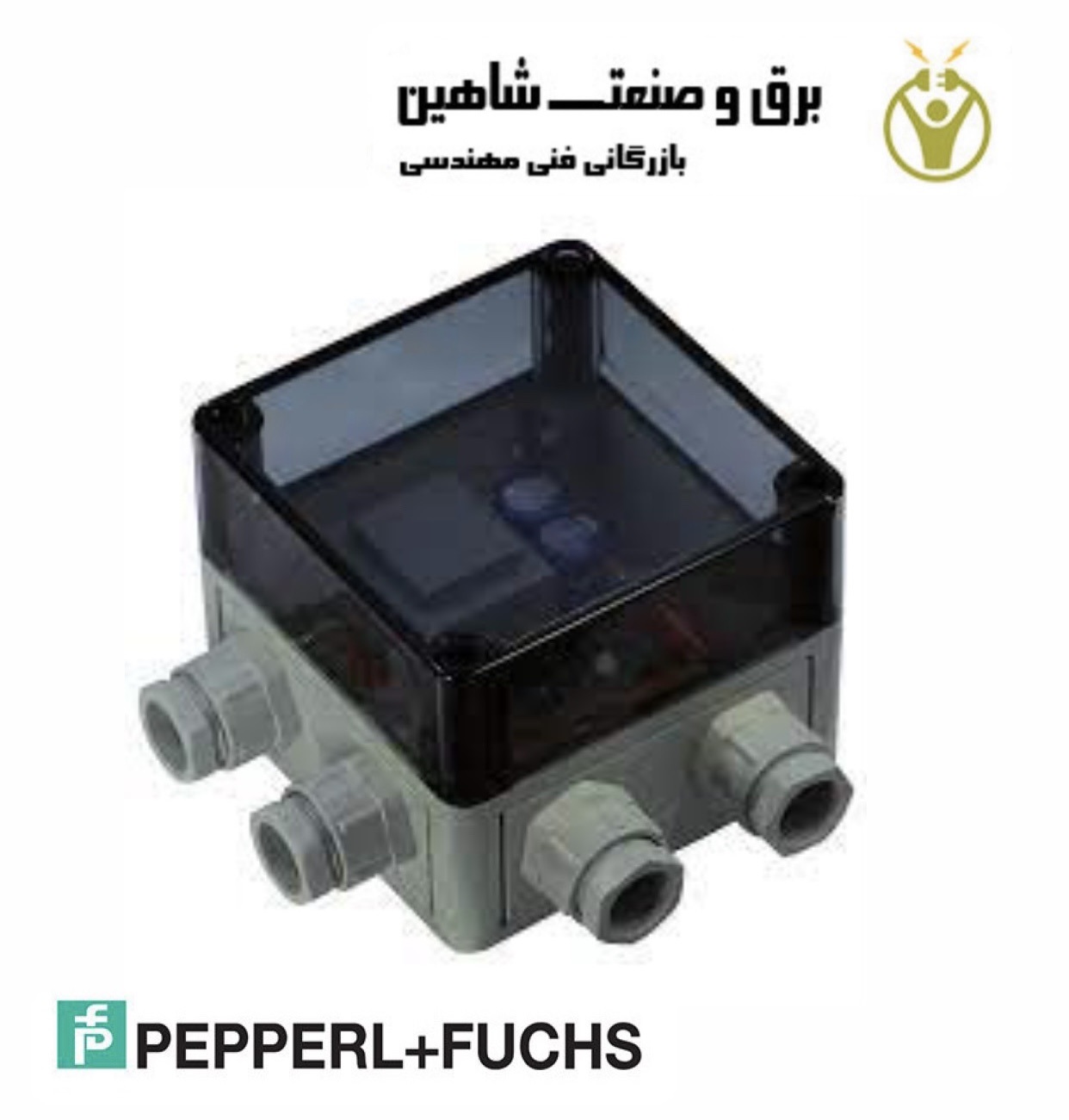 منبع تغذیه Pepperl+Fuchs مدل 419800 (Visolux PS1/31)