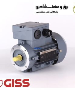 موتور خطی Giss مدل DMA263K4-B14 گیس