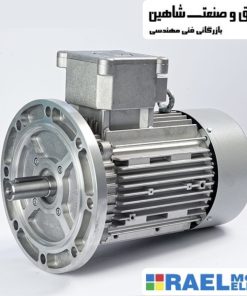 موتور الکتریک Rael مدل RL8006 رائل