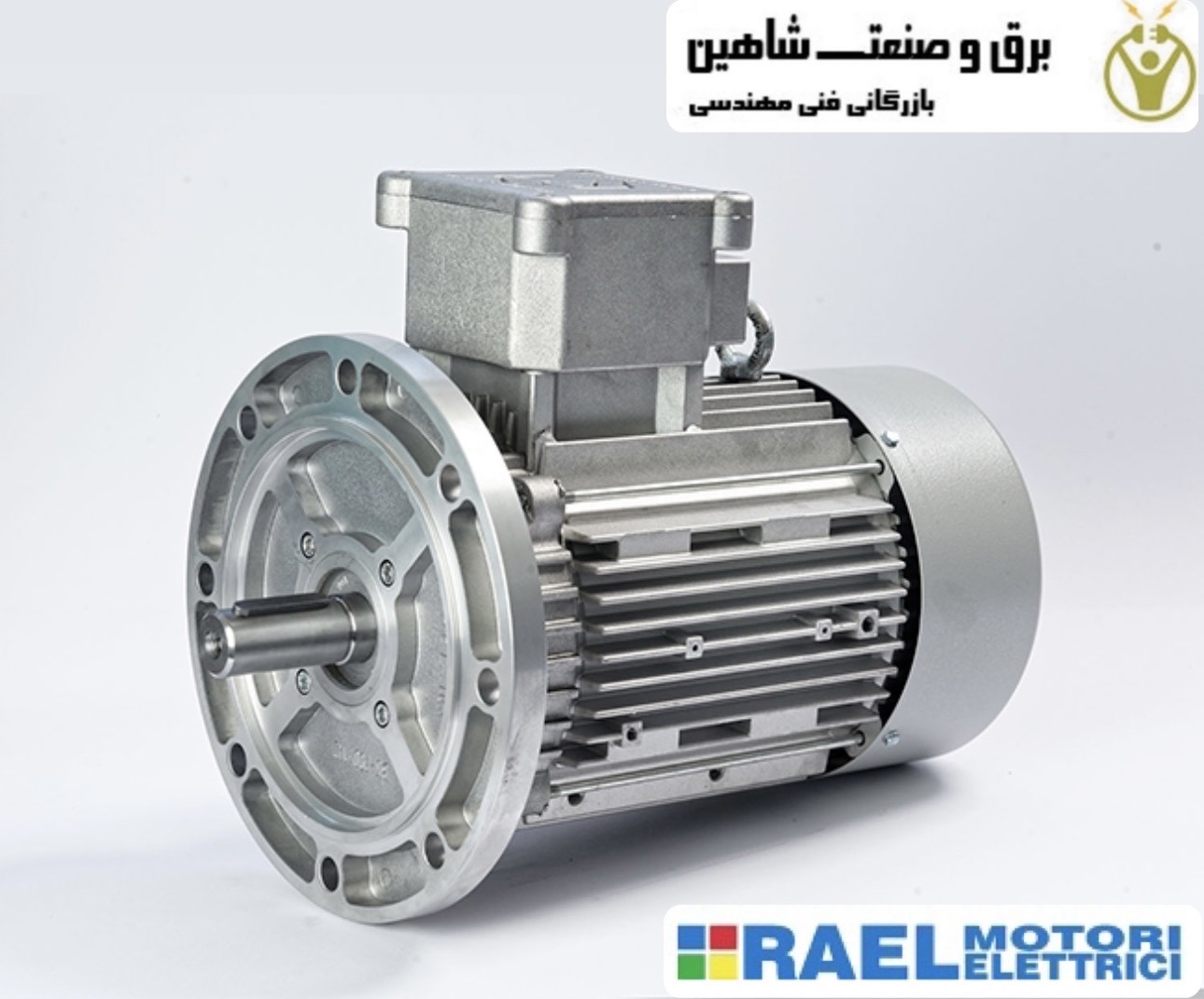 موتور الکتریک Rael مدل RL8006 رائل