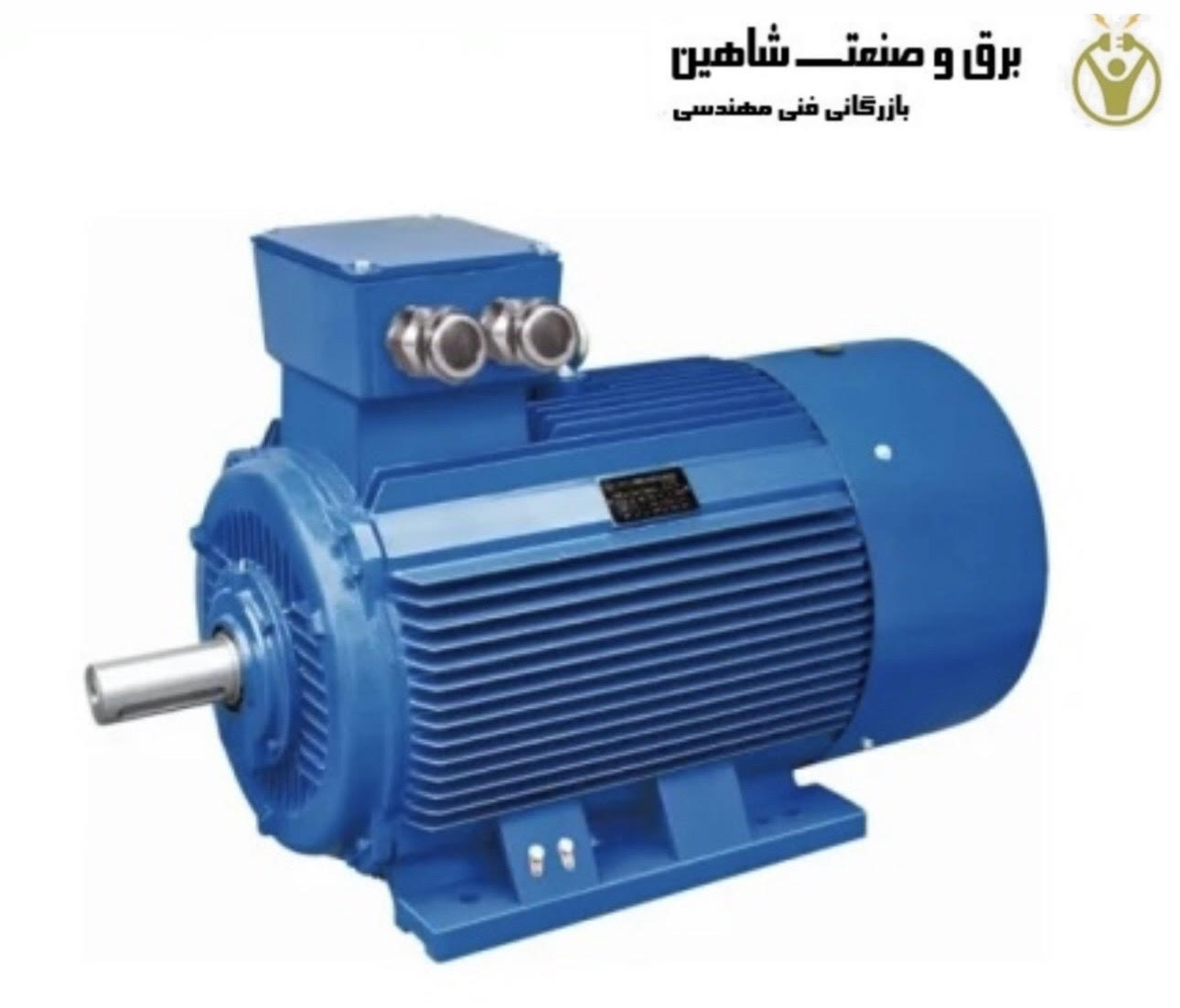 موتور ناهمزمان الکتریکی 3فاز TAIZHOU ZHANYE مدل YS6322WTHF2