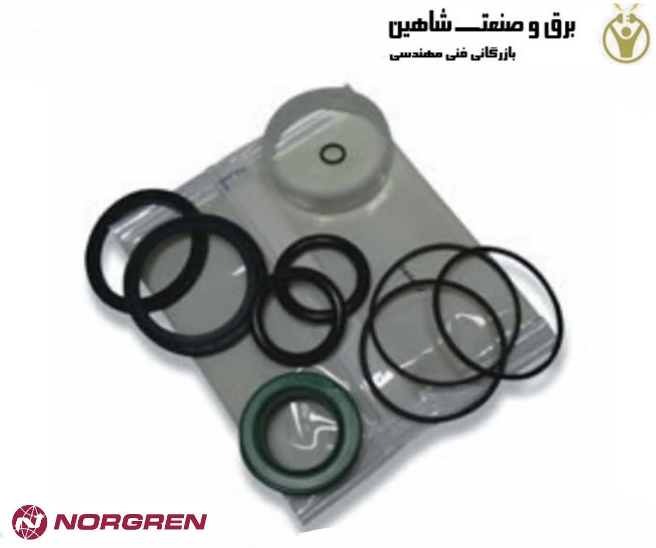 کیت سرویس Norgren مدل QA/8063/00 نورگرن