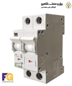 کلید مینیاتوری F&G مدل PLSM-B16/2 اف اند جی
