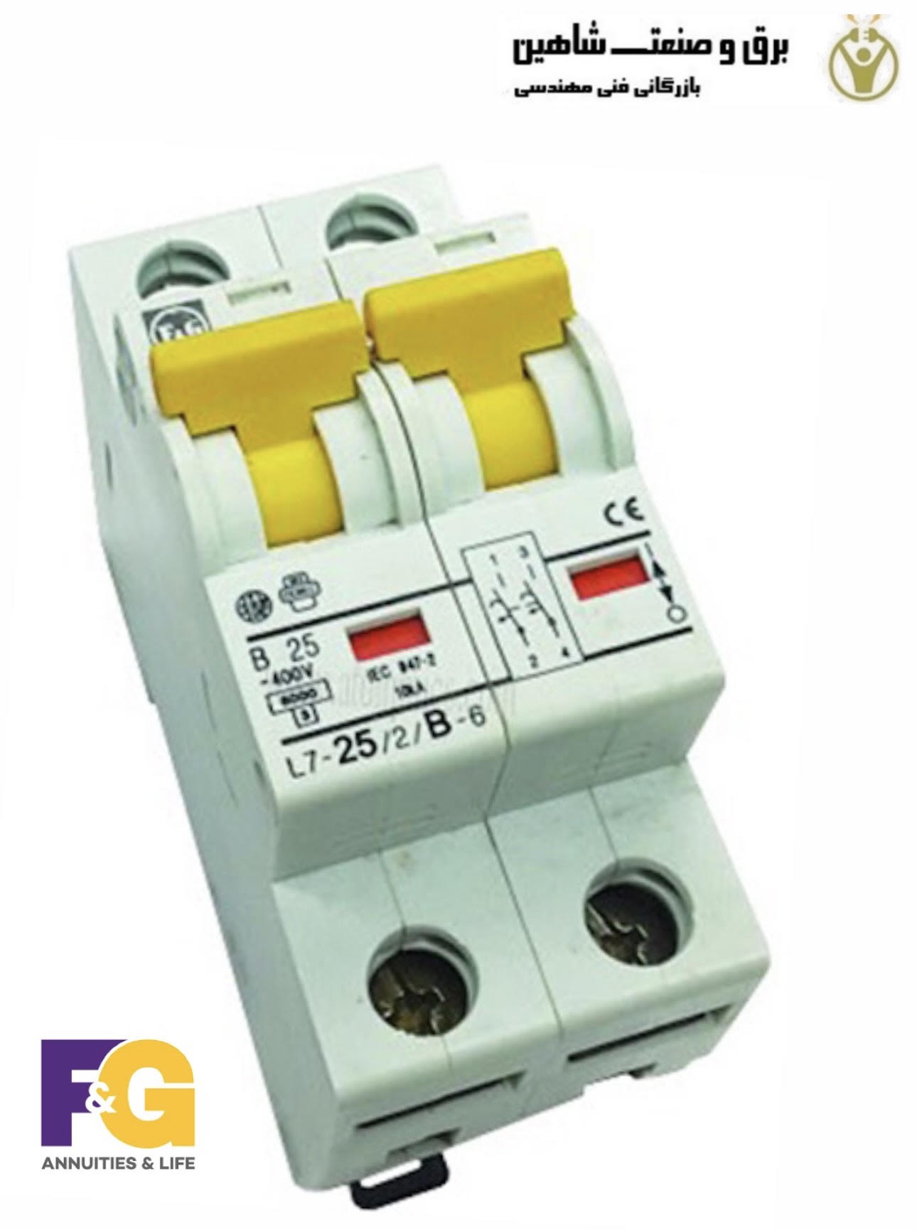 کلید قطع کننده مدار مینیاتوری F&G مدل PLSM/L7 /10/2/B اف اند جی
