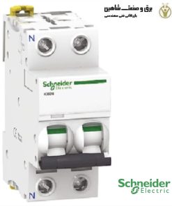 کلید مینیاتوری 2پل 4آمپر Schneider مدل A9F73204 اشنایدر