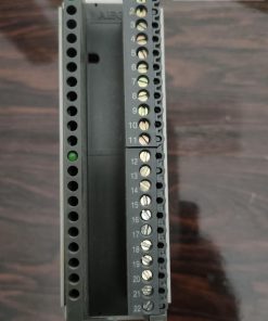 ماژول خروجی آنالوگ آاگه aeg مدل DAU202 کد 6728-042.244666