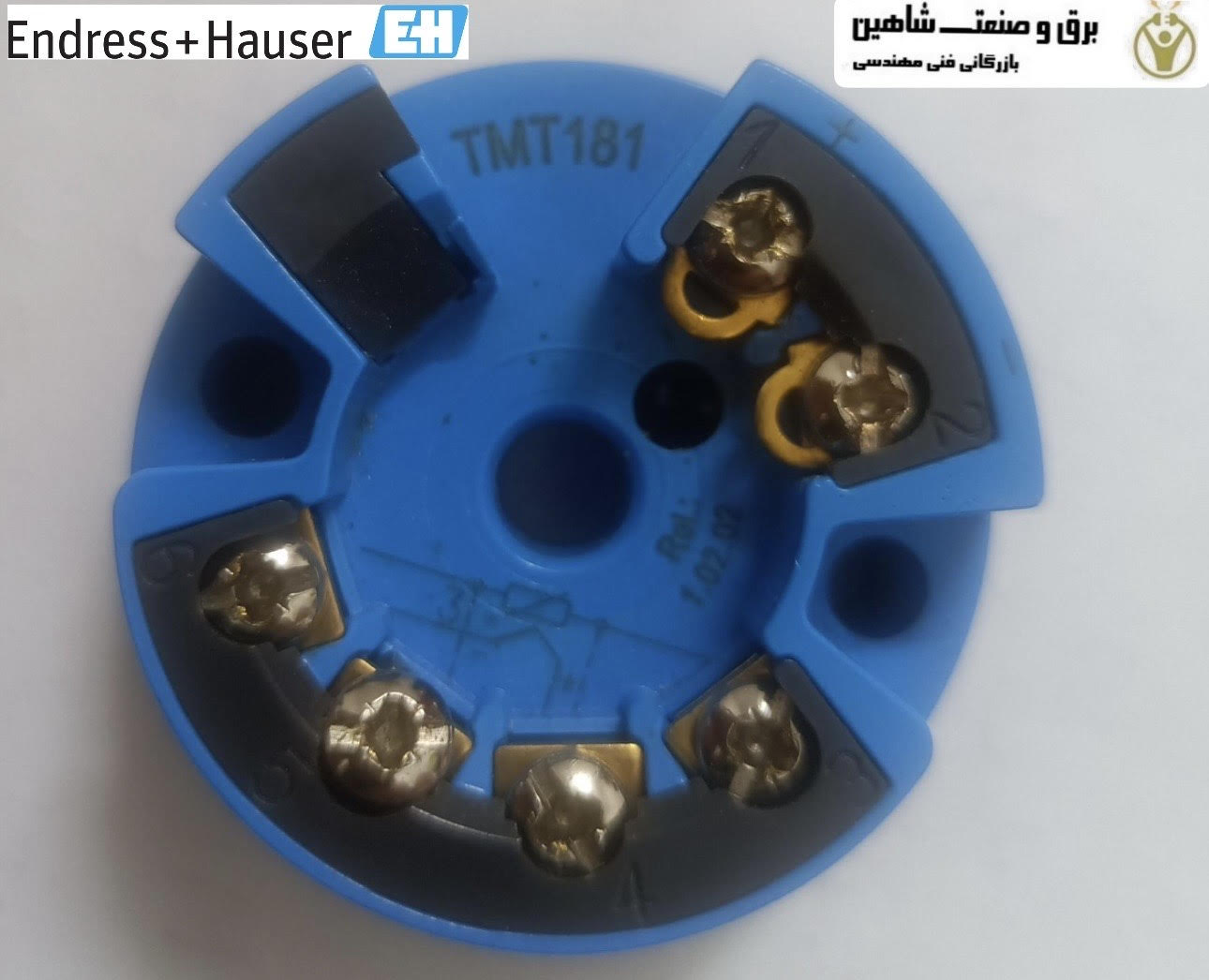 ترانسمیتر آندرس هاوزر Endress+Hauser مدل TMT181-A31BA