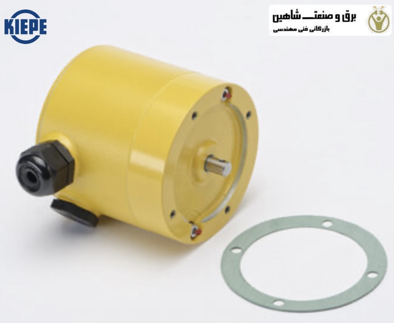 رله کنترل KIEPE SWE005-2S