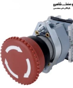 دکمه فشاری APT LA39-A1-11-R-Z-31-TH